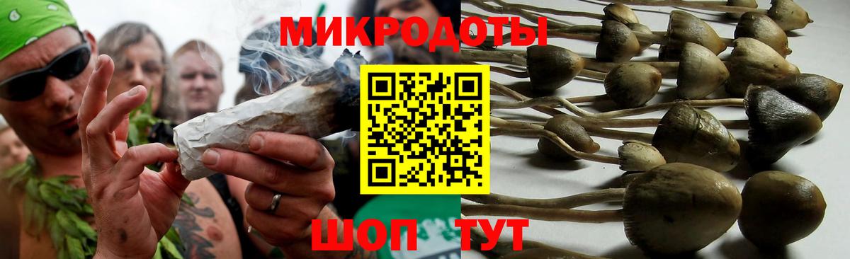 Истра  Псилоцибиновые грибы GOLDEN TEACHER  Вход с VPN 